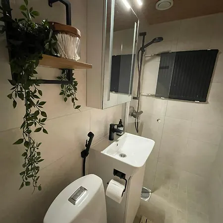 Tunnelmallinen Keskusta-asunto Apartment